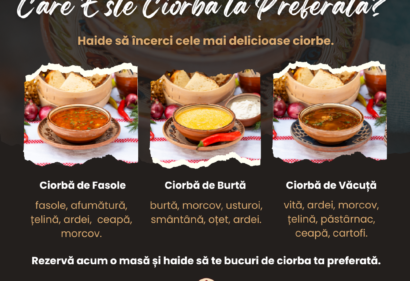 cioirba lacopac.ro